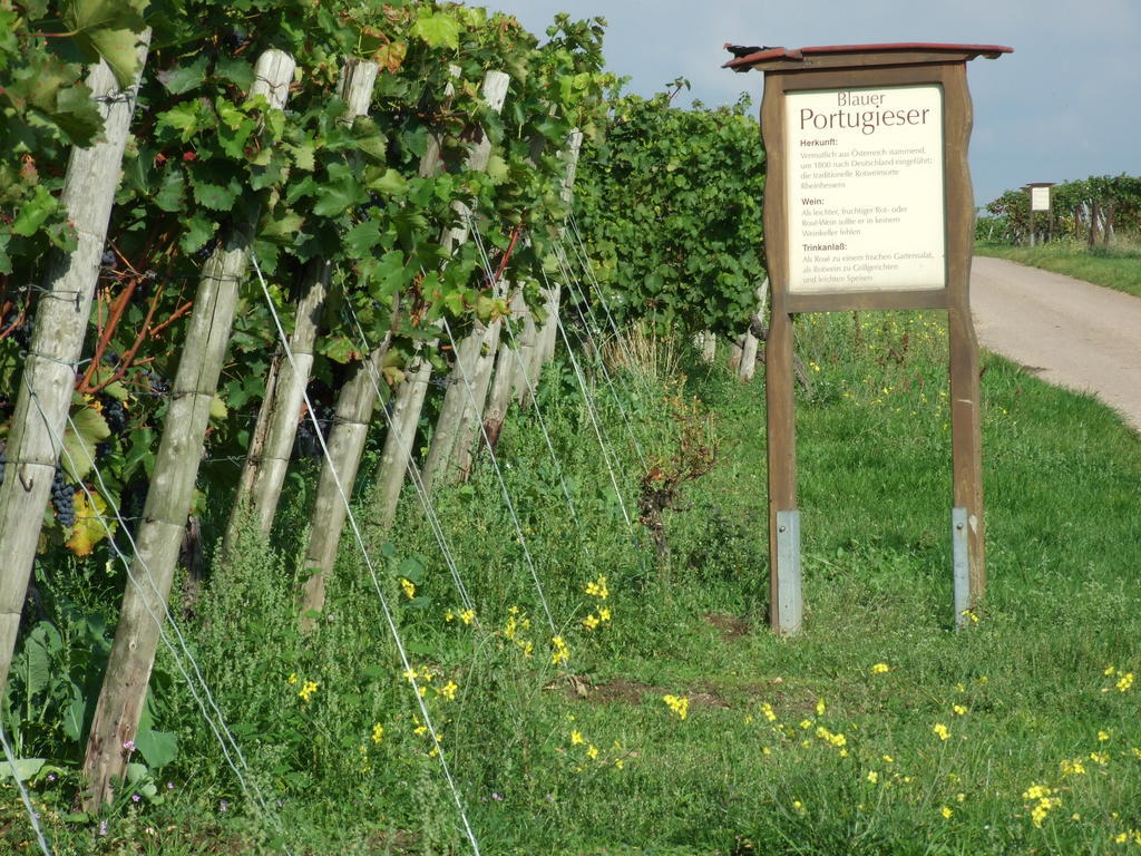 Ferienwohnungen In De Goldisch Luft Gau-Algesheim Exterior photo